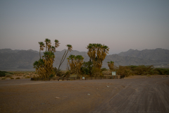 01-Day-Three-Evrona-Nature-Reserve-Sunset